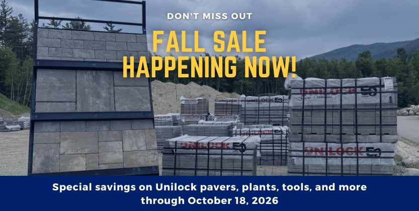 Fall 2026 sale graphic